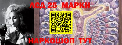 PSILOCYBIN Камышлов