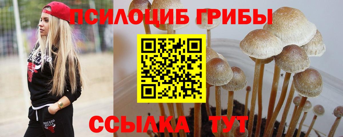 Лангепас  хочу   Вход с VPN  Галлюциногенные грибы мицелий 